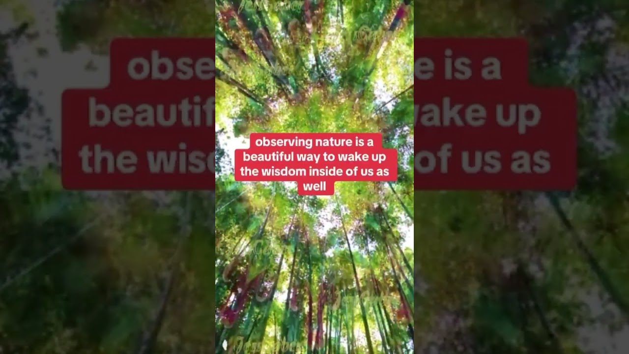 Grounding 💚💚💚  