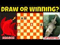 Rook and Pawn Study, Draw ba or Winning? || Dragon vs. Stockfish || Computer Chess Battles 29