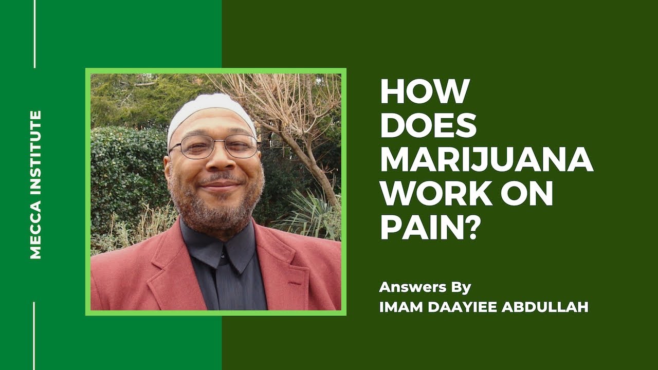 How Does Marijuana Work On Pain? - Imam Daayiee Abdullah - MECCA Institute