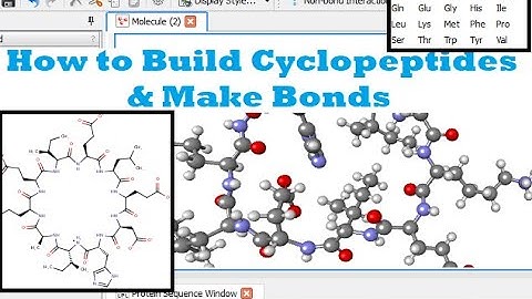 Cyclopeptides - How to Build 3D Model on DSV