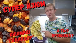 Изюм в электросушилке | Кишмиш Гелиодор