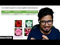 Co-Dominance Versus Incomplete Dominance In Flower Color
