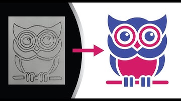 Drawing to Vector in adobe illustrator / Owl Logo design illustrator Tutorial