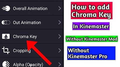 How to Enable Chroma Key in Kinemaster? | Software Urdu