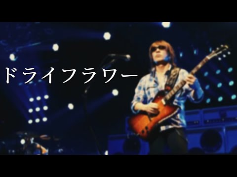 アウトロで違和感なくドライフラワーを弾くB'z松本孝弘風【闇の雨 / B'z】
