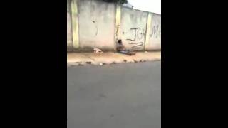 Talento desperdiçado.