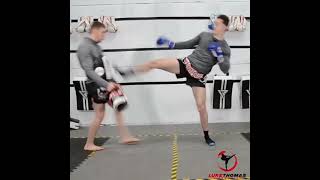 Side Kick to Axe Kick | Kickboxing, MMA And Muay Thai | No 314