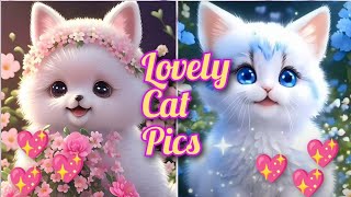 cute cat trending videos ll💕🥀ll love cute cat viral video #youtube#trend#cats#video#please#subscribe