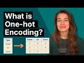 What is One-Hot Encoding? A Simple Guide for Machine Learning 📊