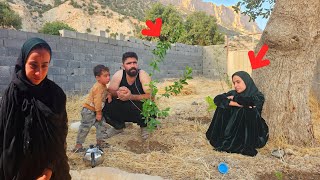 🌿 Arad and Seifullah; Planting saplings in the heart of the mountains ❤️ Pure nomadic life;
