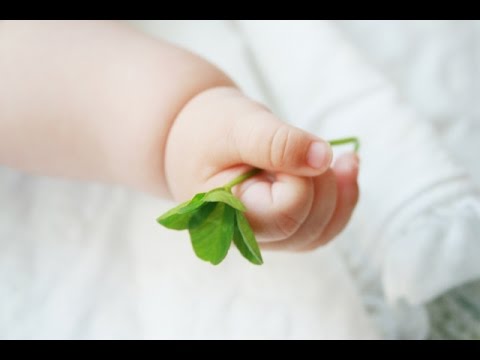 さくまひろこ ねんね Youtube さくまひろこ ねんね Youtube