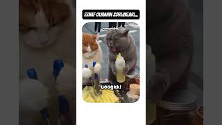 Esnaf Olmanın Zorlukları...