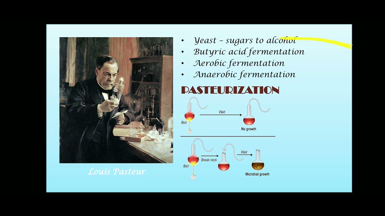 History of Industrial Microbiology YouTube