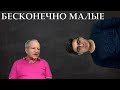 Математический анализ. Лекция 4. Теория пределов. Бесконечно малые