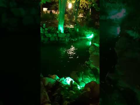Farel - YouTube