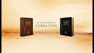 Biblia de estudio Palabra Clave con diccionarios hebreo y griego