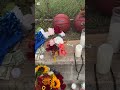 A memorial continues to grow outside Westbury High School for 17-year-old senior LePaul Warren