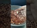 Youtube short food vlog viral short