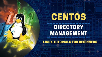 Directory Management in Linux in Urdu/Hindi | How to create Directories | Linux Commands | CentOS 7