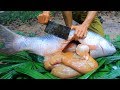 Wow! Cooking Big Fish Eggs Recipe Eating Delicious in the Forest