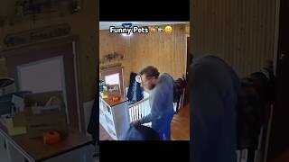 Funny Pets 🦆🦮😂 #funny  #dogs #failarmy
