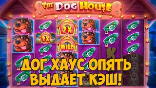 ИГРАЮ ВО ВСЕ ДОГ ХАУСЫ / ЭПИЧНЫЙ КАМБЭК В MULTIHOLD / МОЩНАЯ СЕССИЯ В MEGAWAYS / ВЫБИЛ ТРИ БОНУСКИ