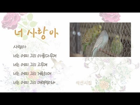 [좋은 시 낭송] 너 사랑아 석선 시집 - 돌나라