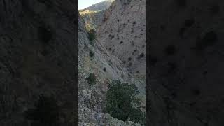 Kırmızı Benekli Avı Kanyonlarda Yol Biterse Resimi