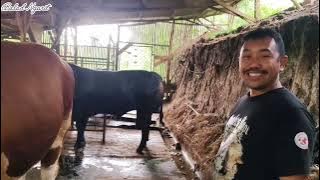 Sangkuriang!! Contest Specs Not Yeahhhh....