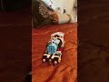My Lego Percy almost finish my Lego project #spiderkingman