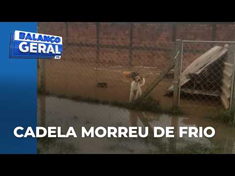 Severe storms flood animal shelter caring for 100 dogs in Almirante Tamandaré