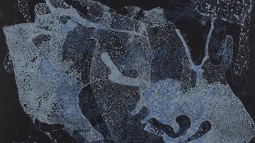 Why Ed Pien collaborated with the Atlantic Ocean to make his ghostly new print