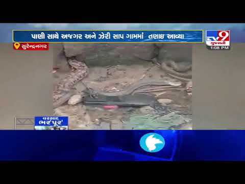 Villagers face snake menace as Bhogavo river overflowing | Surendranagar | Tv9GujaratiNews