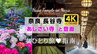 【JAPAN 4K】Visiting Hasedera Temple – Healed by colorful hydrangea (seasonal) Breathtaking Japan!
