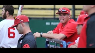 2017 Denison Baseball Preview