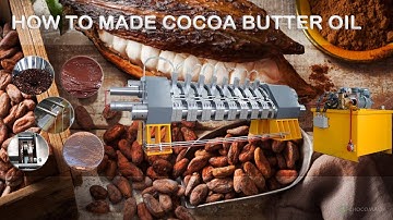 Low fat cocoa powder production line │How to produce 10%-12% alkalized cocoa powder#cocoapowder