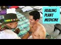 Heal yourself with plant medicine  rythmia life advancement center  ayahuasca costa rica