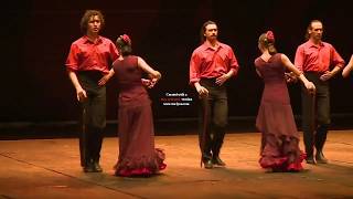 Ballet Flamenco Cristina Hoyos (Gira China)
