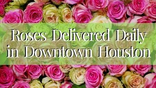 Flower Delivery Downtown Houston | Roses Delivered in TX