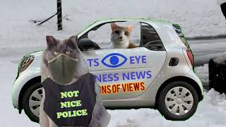 A Tribute to Renee Nicole Good #catseyewitnessnews #reneenicolegood #justiceforrenee