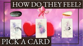 🔮🌹🐚How do they feel? 🔮PICK A CARD (timeless tarot)