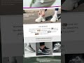 Weekly Recap: Creating the Lunbir Brand Identity & Digital Experience