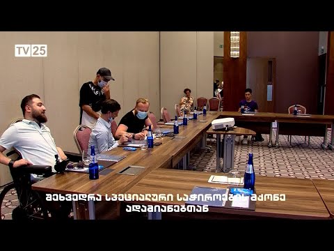 შეხვედრა სპეციალური საჭიროების მქონე ადამიანებთან