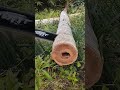membuang bagian yang berlubang.