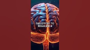 Governing the Algorithm: A Critical Look at the EU AI Act