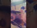هدرت الباتنية ميساج لناس لي ماتبغيناش