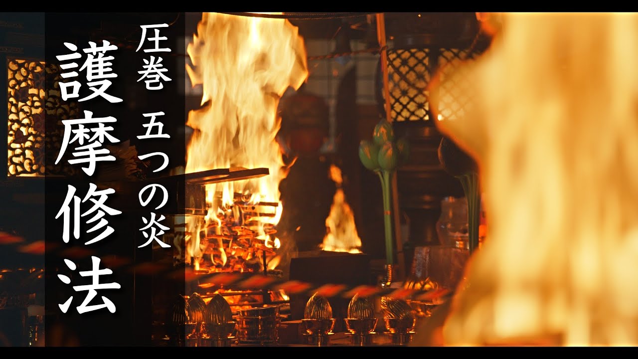 【圧巻の護摩修法】5人のお坊さんが同時に修法する護摩 雨降山 大山寺の五壇護摩