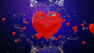 The Corrs - All The Love In The World (Tradução)