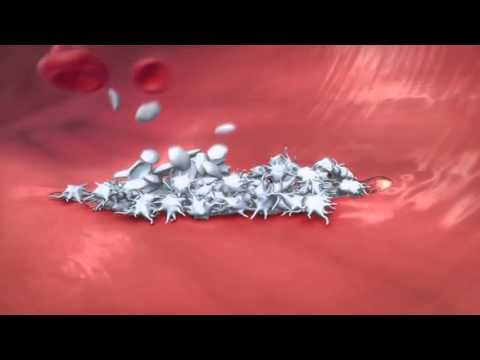 Video: Untuk kalsium pembekuan darah?