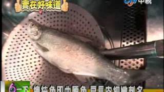 【新聞六一下20110421】總統魚即曲腰魚扁長肉細嫩刺多